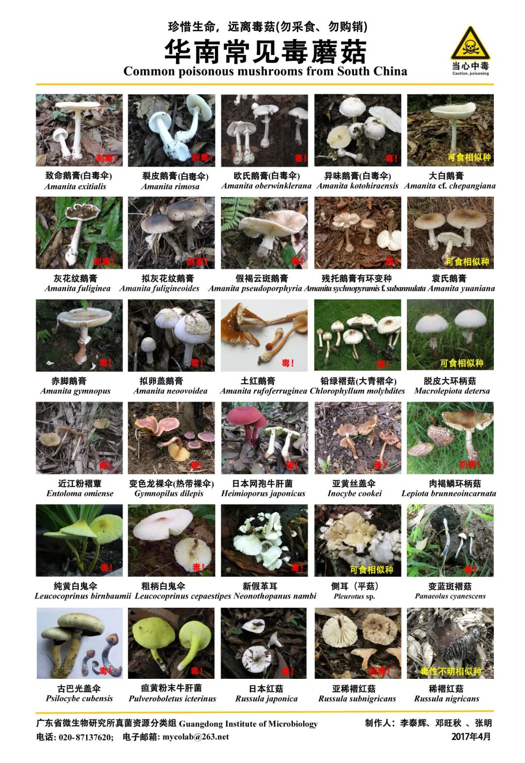 圖片關(guān)鍵詞 https://mmbiz.qpic.cn/mmbiz_jpg/OnRbAd1HL447AVvicLf3JHEJun5lHxh0yMtiaDXs3ckfMXOD4bZBVwOwQUibX7ibKGANtqjy1WhfJic1vBIoNdAC9SA/640?wx_fmt=jpeg