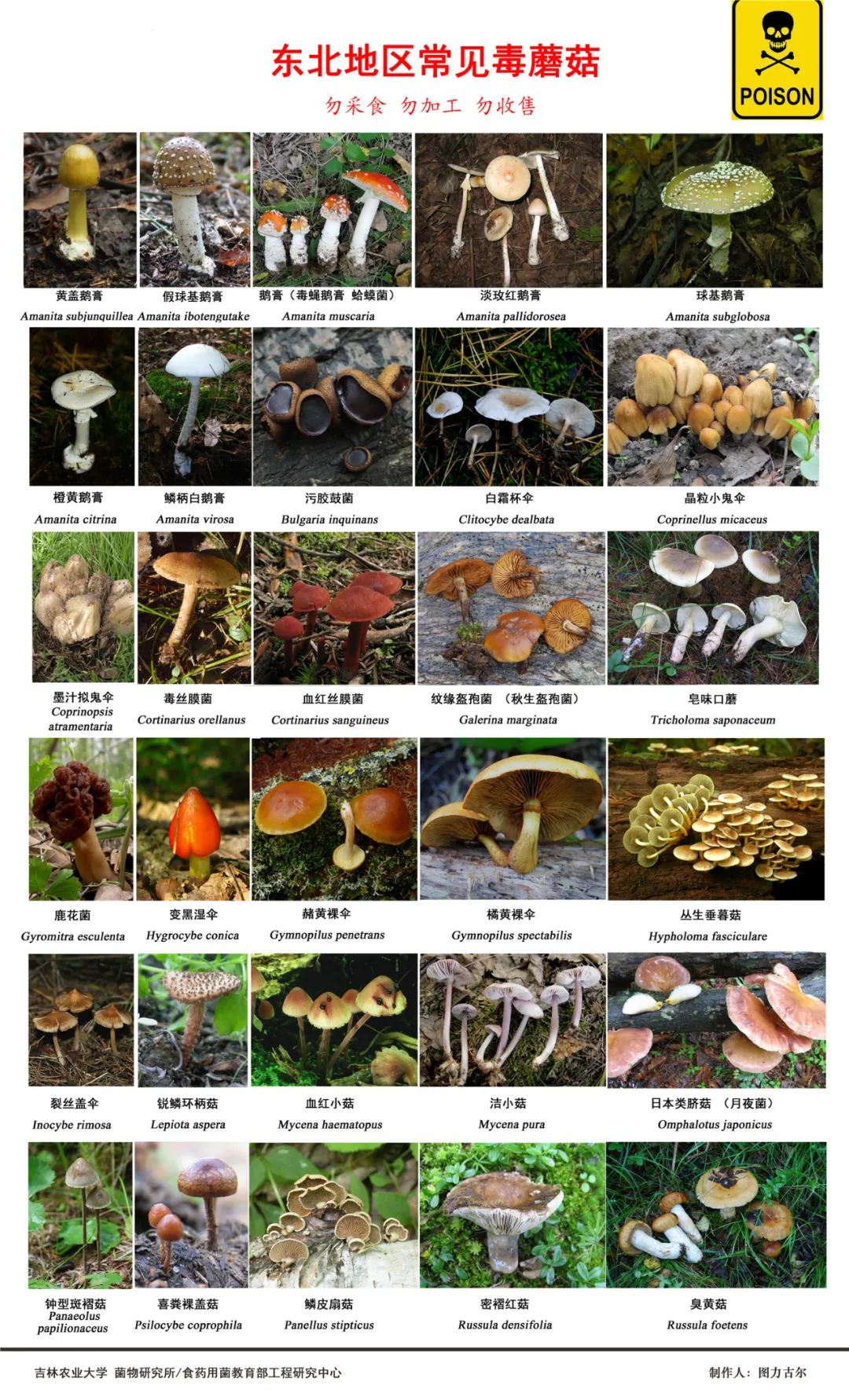 圖片關(guān)鍵詞 https://mmbiz.qpic.cn/mmbiz_jpg/OnRbAd1HL447AVvicLf3JHEJun5lHxh0yy1fyhBkibUCmRdb5U1NkhT5rKPMvk8eXXlVUUGLNX113n5NZcZ6Adtg/640?wx_fmt=jpeg