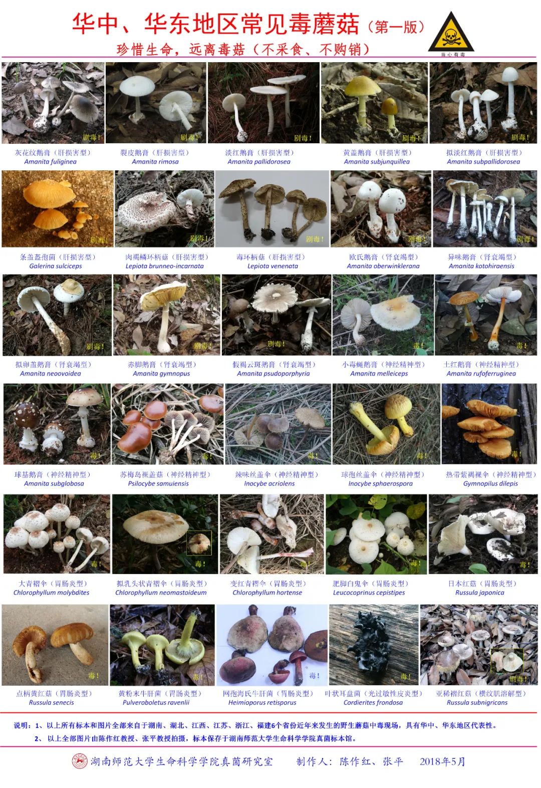 圖片關(guān)鍵詞 https://mmbiz.qpic.cn/mmbiz_jpg/OnRbAd1HL447AVvicLf3JHEJun5lHxh0yC4kE67Ihrdo4RkDbP0bPt7HQQU2Yict05lU3aCmHbcaH4nIsKWB3a3Q/640?wx_fmt=jpeg