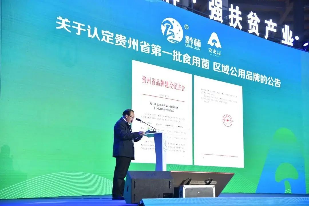 圖片關鍵詞 https://mmbiz.qpic.cn/mmbiz_jpg/tViaTicjwibVZmgEXXCALToc7mAB2rFo1LnphlgOvw2zHrq5xI7YU9yygMjJ9BT4x0h6HLInNicNAw7rUibwh3TNzgw/640?wx_fmt=jpeg