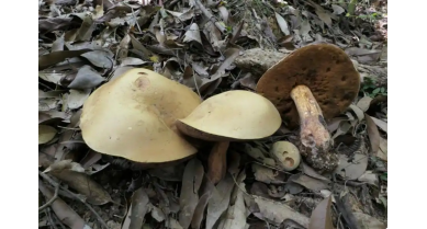 行業(yè)動(dòng)態(tài)